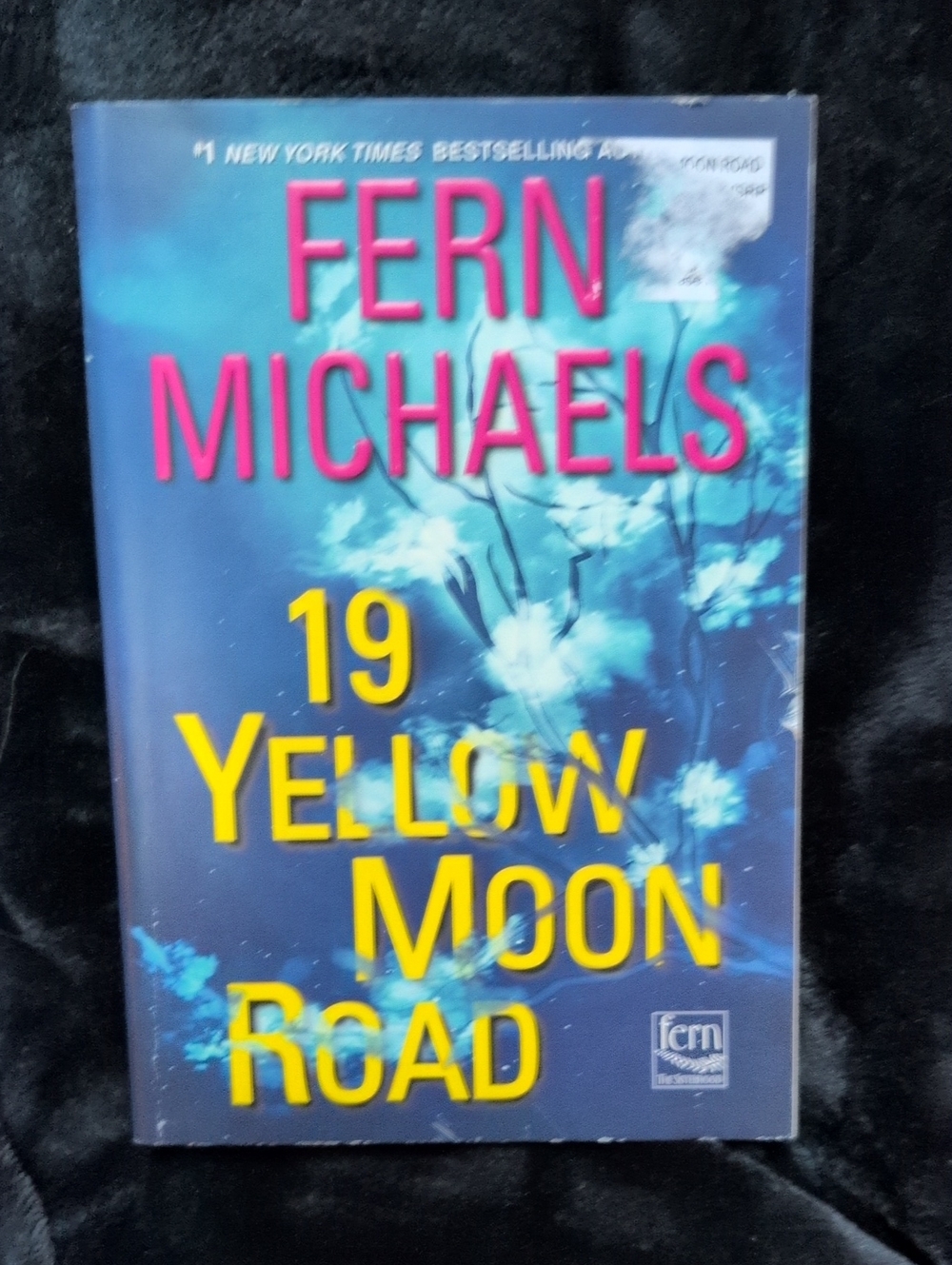 19 Yellow Moon Road by Fern Michaels